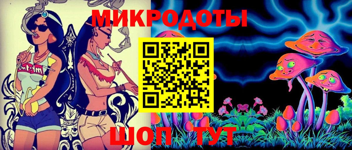 Галлюциногенные грибы Psilocybe Павловский Посад